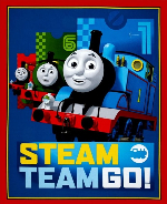 Steam Team-593