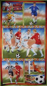 football-fever-panel-medium