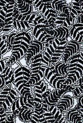 Ferns - black on white.