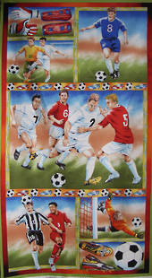 Football fever fabric panel.