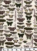 Butterflies browns and greens