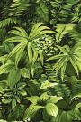 Fern Forest green.
