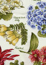 Flowers of Aotearoa cream.