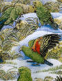 Kea Country.