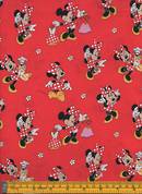 Minnie Mouse Dresses up