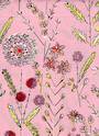 Somerset wildflowers pink