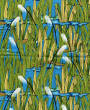 Wetlands reeds.