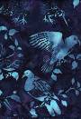 NZ birds - blue