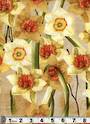 Abbey's Garden Daffodils
