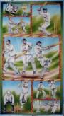 Howzat! cricket fabric panel.