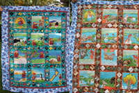 Joshua double sided quilt small.jpg