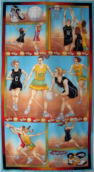 netball-panel-small