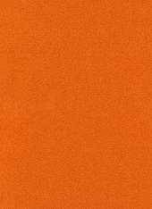 Blender Orange