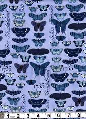 Butterflies blue