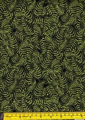 Ferns - green on black