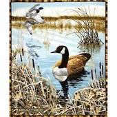 Duck Panel