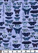 Butterflies blue
