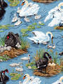 Swan song