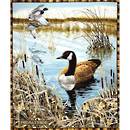 Duck Panel