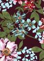 Midnight rush pink flowers