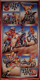 Motocross panel.